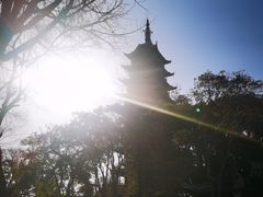 -大方圆酒楼(西门大街店)