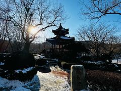 -大连植物园
