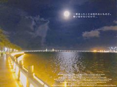 -情侣路