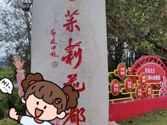 -中华茉莉园