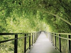 -阿哈湖国家湿地公园