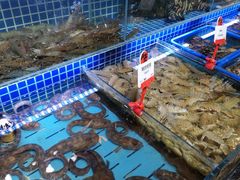 水产区-必点海鲜·鲅鱼水饺(鞍山西道店)