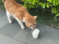 -星巴克(珠海仁恒滨海中心店)