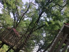 -淄博花灯齐彩城