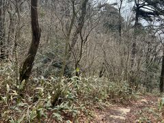 -东天目山风景区