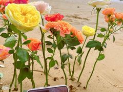 -巧克力渔家.小船海鲜胶东菜(万平口店)