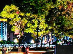 -三林塘老街
