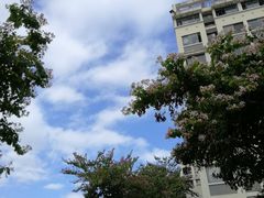 -华侨大学(厦门校区)
