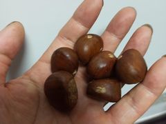 -阿男野栗王(金门路店)