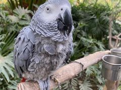 -南宫五洲植物乐园