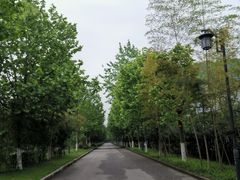 -大渡口区义渡公园