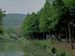 -苏州上方山国家森林公园