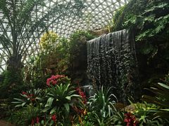 -上海辰山植物园