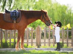 -月河湾马术俱乐部(朝阳店)