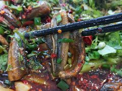 -乐山第一家临江鳝丝(茶坊路店)