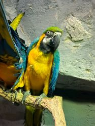 -Zoolung Zoolung动物主题公园(海信广场店)