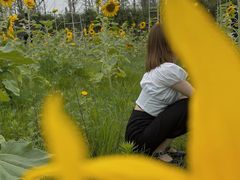 -三圣花乡旅游区