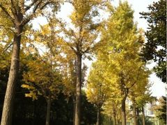 梦清园-苏州河梦清园环保主题公园