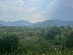 -四明山国家森林公园
