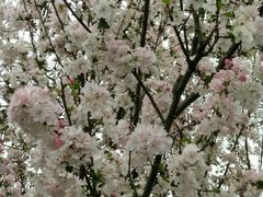 -白鹭湾湿地公园