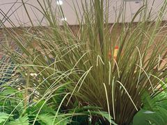 -红菜坊·烤鸭·川鲁宴(石园店)