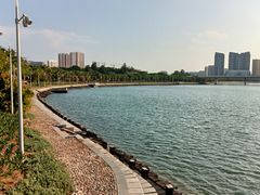 -五缘湾湿地公园