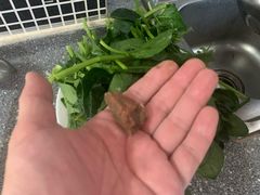 -新隆嘉超市(武昌街店)