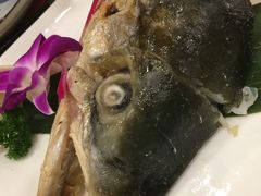-彩葉·樱花屋日本料理(动物园店)