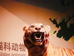 -大庆市博物馆