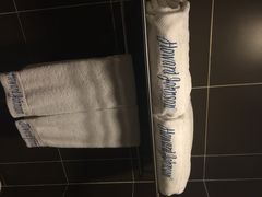 江城明珠豪生大酒店-武汉江城明珠豪生大酒店