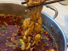 -蛙两只美蛙鱼头火锅(恒茂店)
