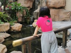 -国家五钻酒家·西樵旺阁渔村(西樵店)
