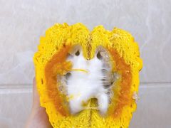 -奈雪的茶(亨特国际广场店)