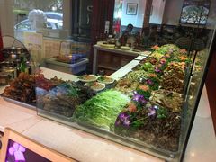 -川道拐耗儿鱼(置信路店)