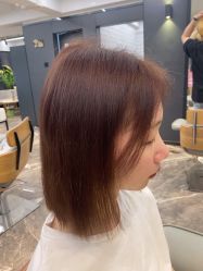 -藤野造型