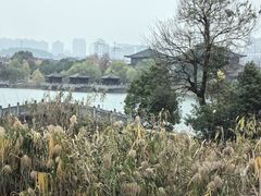 -杏花村文化旅游区