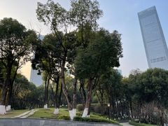 -重庆市江北嘴中央商务区中央公园