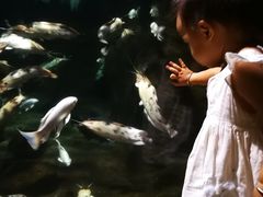 -南昌海洋公园