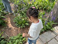 -黑龙江省森林植物园