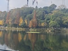 -重庆彩云湖湿地公园