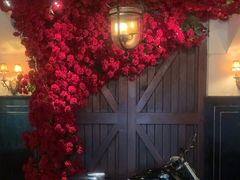 -碧特博格啤酒花园餐厅(芜湖路店)