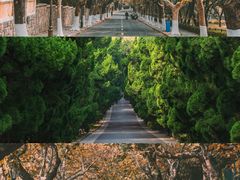 -八大关景区