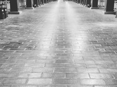 -咸阳湖景区-古渡公园