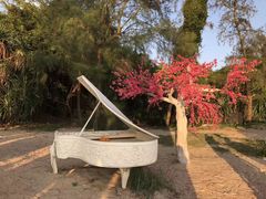 -那琴半岛地质海洋公园