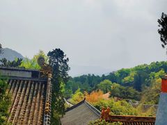 -潭柘寺景区