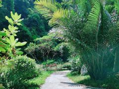 -火炉山森林公园