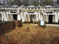 -合肥野生动物园