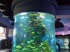 -福州罗源湾海洋世界旅游区