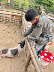 -童心园麦窑·儿童拓展探宝乐园