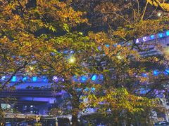 -上海南浦大桥长途旅游客运站